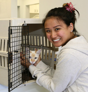 Angel, with Ashley, one of her main caregivers at the veterinary office, as she gets ready for discharge